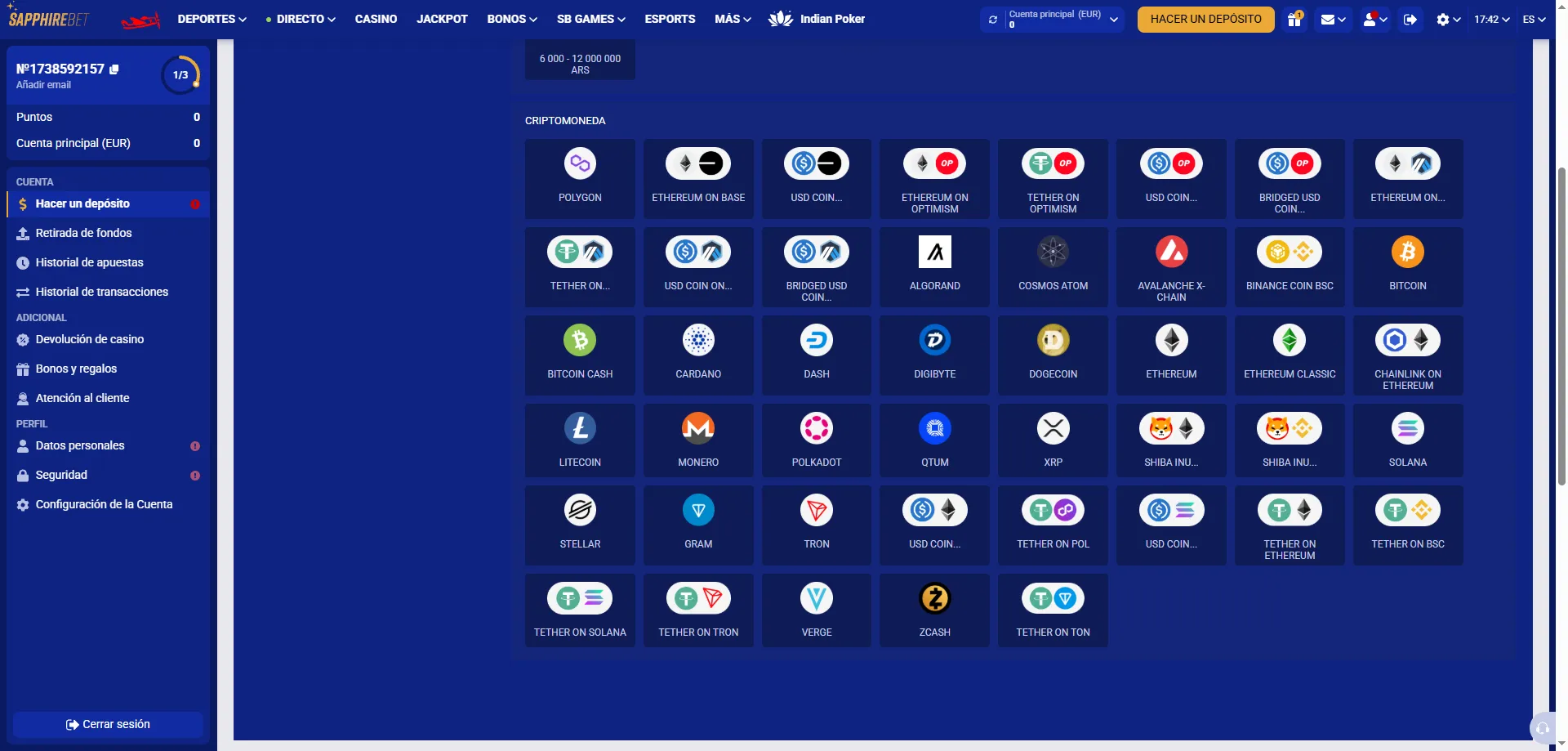 M&eacute;todos de pago en SapphireBet Argentina &ndash; dep&oacute;sitos y retiros